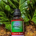 PHOTO-2024-03-04-16-43-17 3