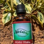 PHOTO-2024-03-04-16-48-58 2