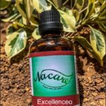 PHOTO-2024-03-04-16-49-11 2