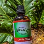 PHOTO-2024-03-04-16-49-53 2