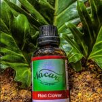 PHOTO-2024-03-04-16-50-20 3