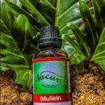 PHOTO-2024-03-04-16-50-47 3